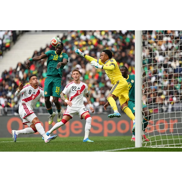凤凰彩票 APP 球场精彩瞬间